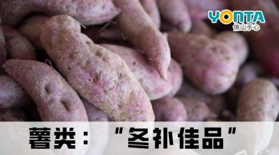 冬天多吃“根”，强健又补身